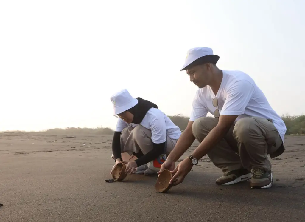 Penyu-lamat 2025: Aksi Sukarelawan Karyawan Telkom Edukasi Sampah dan Konservasi Penyu di Pantai Pelangi Yogyakarta